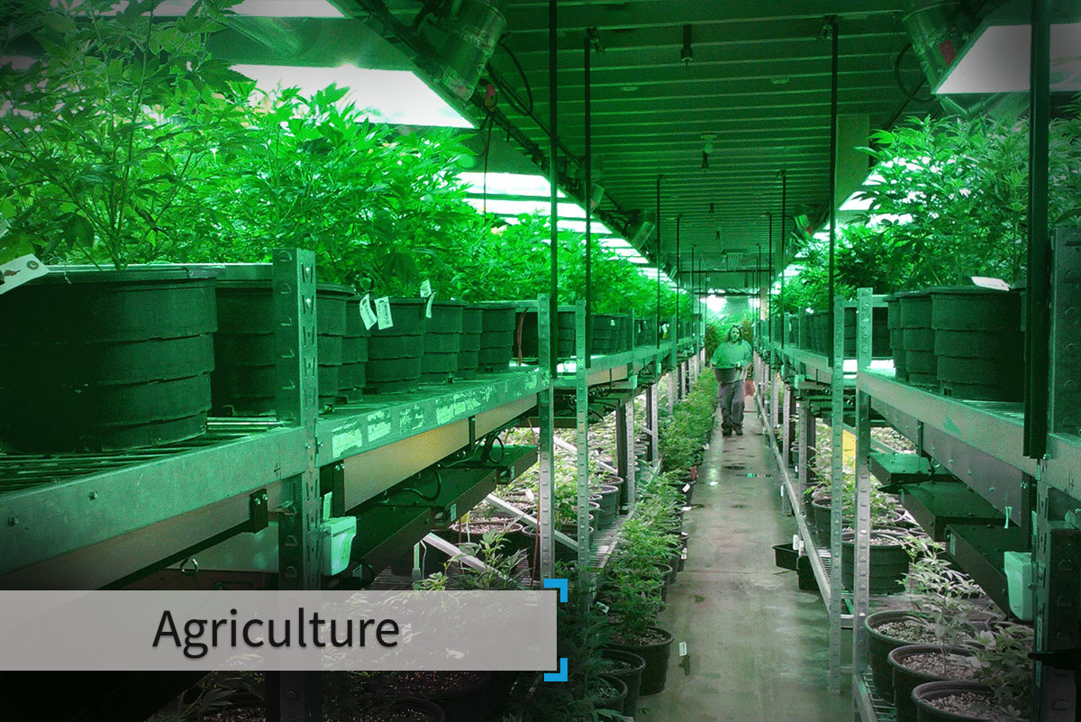 Agriculture