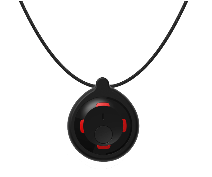 BT710 Necklace / Pendant
